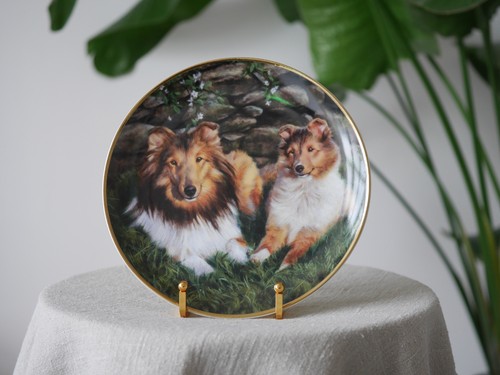 Danbury mint collector plate - danbury,