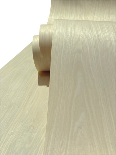 Maple wood veneer - wood, x