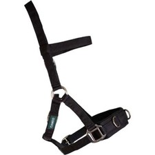 Cameo Equine Lunging Cavesson