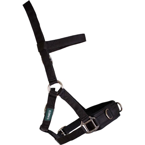 Cameo equine lunging cavesson - equine,