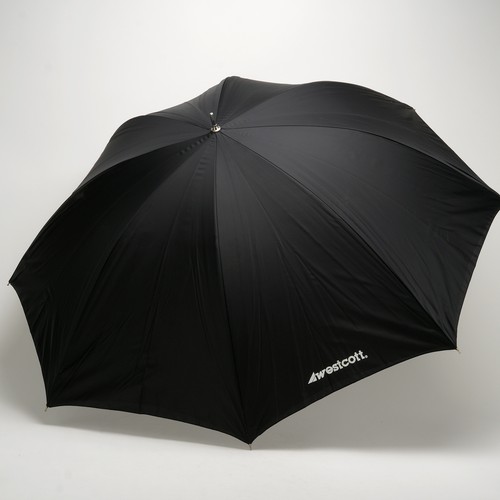Westcott white satin - white,