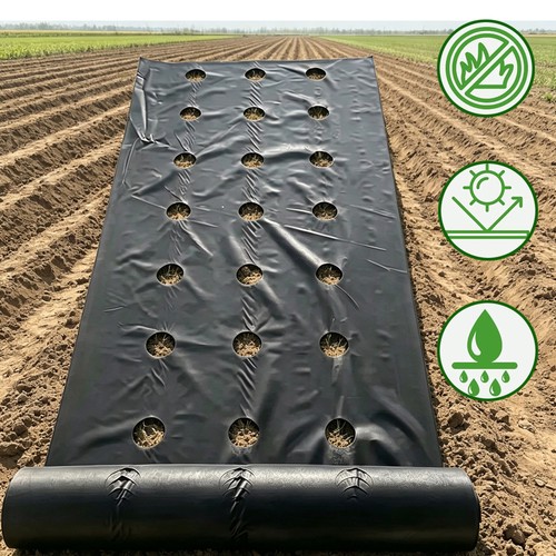 Agricultural perforated mulch - agricultural,