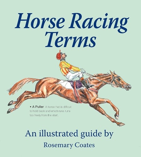Horse racing terms - racing, an