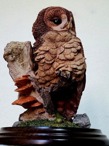 Country artists large - country, tawny