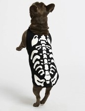 Marks And Spencer Dog