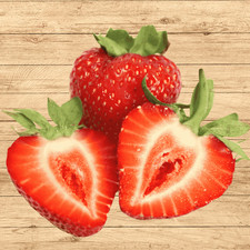 Albion Day-Neutral Strawberry