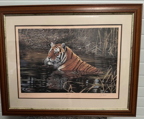 Tiger cooling off in the - ,