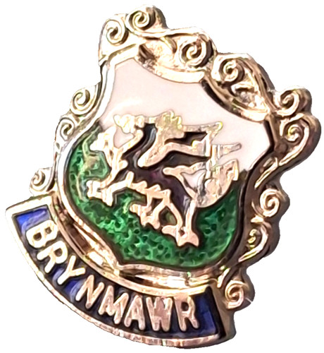 Brynmawr town small pin badge - town,