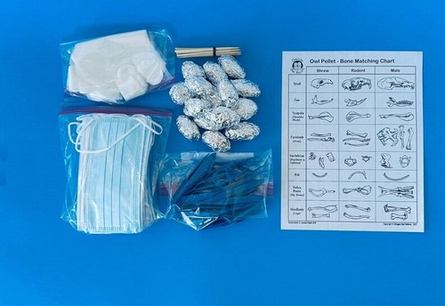 Owl pellet dissection kit - owl,