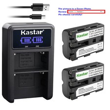 Kastar LCD Dual Charger