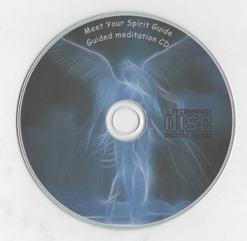 Meet your spirit guide - meet, cd