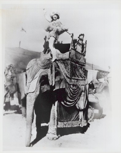 Showgirl howdah elephant - on,
