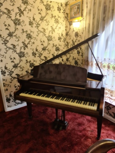Challen baby grand piano - challen,