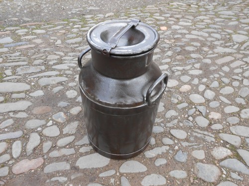 Antique rustic gallon milk - 5,