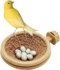 Bird Breeding Nest Canary