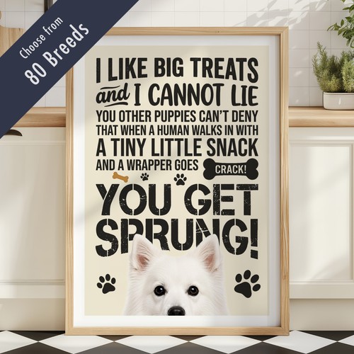 Funny dog treats lyric - funny,