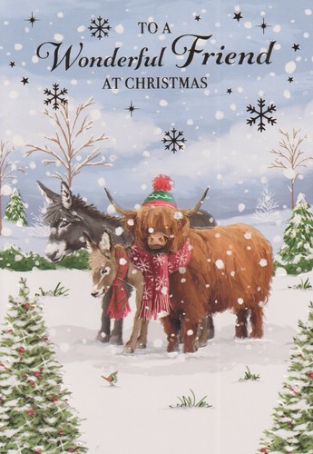 Wonderful friend christmas - wonderful,