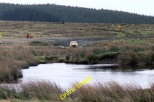 Photo 6x4 Sweet Lamb Rally