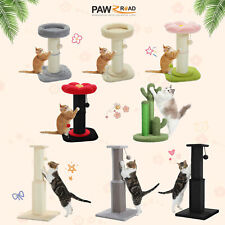 PAWZ Road Cat Scratching Post
