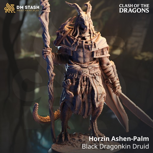 Male dragonborn druid - male, druid,
