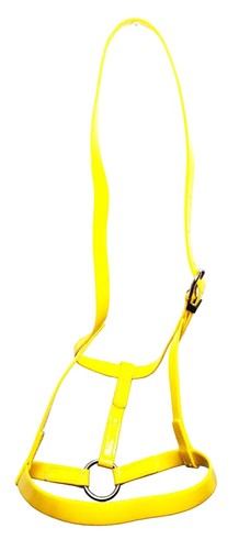 Horse under halter yellow - horse, pvc