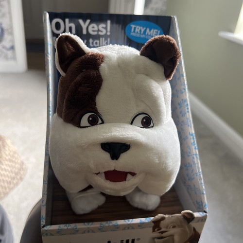 Churchill the bulldog talking - bulldog,