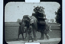 2 x Vintage Pathescope  Film Reel 9.5mm Vintage 1930's Bus Zoo Elephant Camels