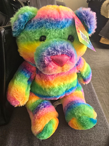 Rainbow teddy bear plush toy - rainbow,