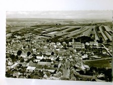 Göllheim/Palatinate. Local