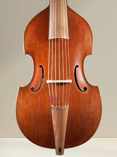 Bass viola gamba string - viola, da