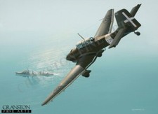 WW2 Italian Stuka Acet