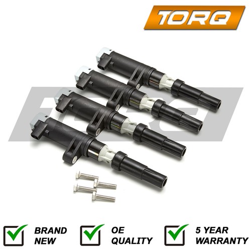 Torq for renault - for, megane