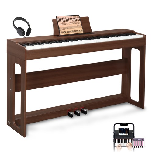 Keys digital piano - keys,