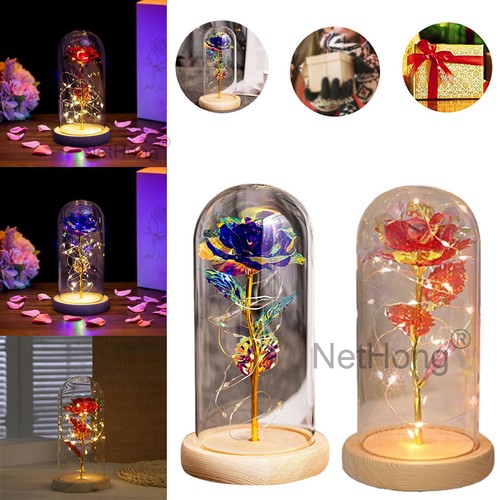 Modern newest red rose - modern,