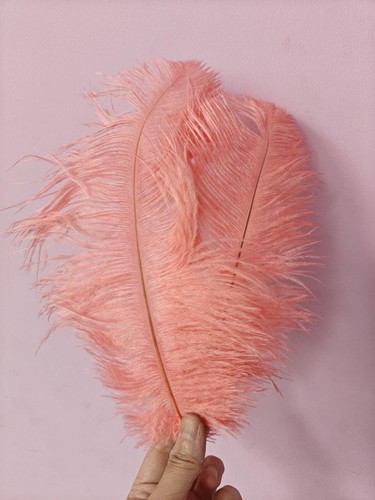 Peach coral ostrich feather - peach,