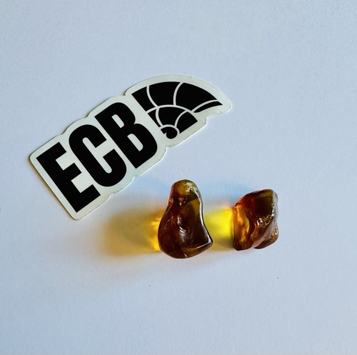 Baltic amber 100 - baltic, no