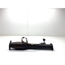 Ford Focus ST Sports cat