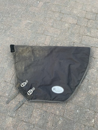 Size large rhinegold - large,