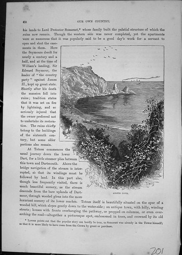 Original old antique print - old,