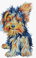 Yorkshire terrier Dog