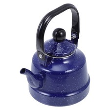 Stove Top Kettle for Wood