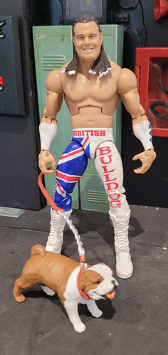 Wwe mattel elite series - elite,