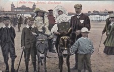 OLD POSTCARD DONKEY BEACH MAN