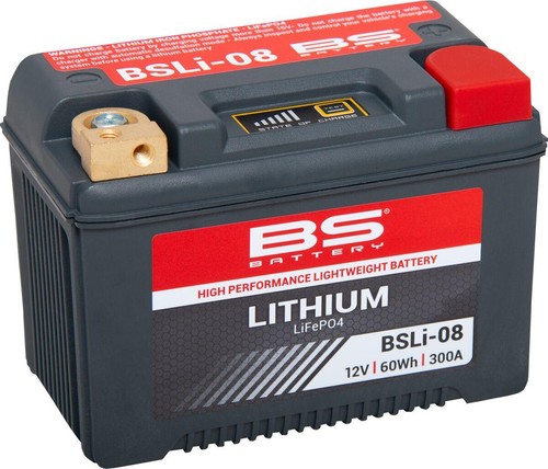 Battery lithium lifepo4 - battery,