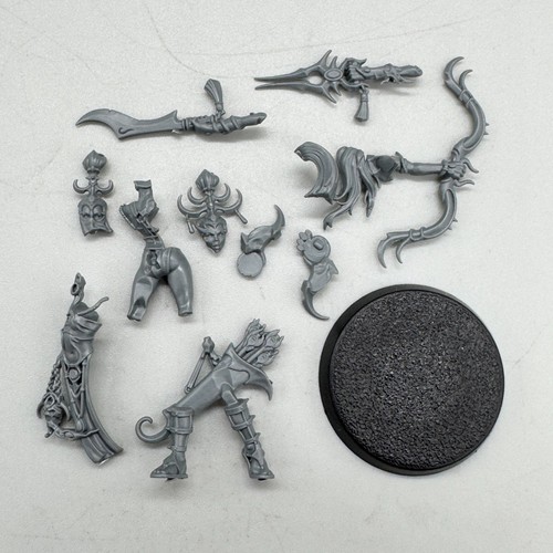 Aos hedonites of slaanesh - -,