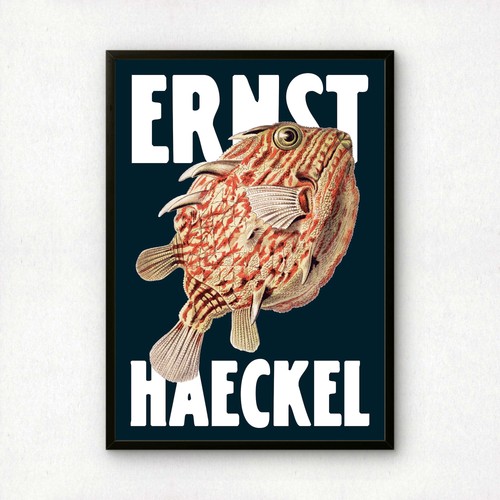 Ernst haeckel remixed art - haeckel,