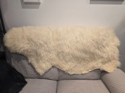 Extra large 100 - extra, 100%