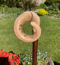 Lovely Rams Horn CURLY crook