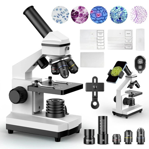 Compound microscope - microscope,
