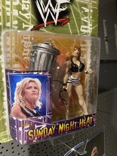 Wwf Wwe Jakks Bca Sable Moc Rare Post Hasbro Vintage 